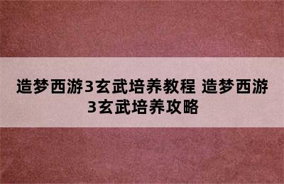 造梦西游3玄武培养教程 造梦西游3玄武培养攻略